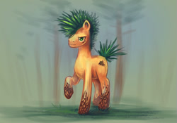 Size: 1000x698 | Tagged: safe, artist:elunian, oc, oc only, oc:pine, earth pony, pony, blurry background, forest background, male, solo, stallion