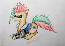 Size: 435x308 | Tagged: safe, artist:elunian, oc, oc only, oc:lussuria, earth pony, pony, clothes, jacket, lying down, multicolored hair, side view, simple background, solo, sunglasses, traditional art