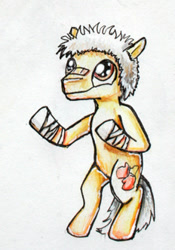 Size: 232x332 | Tagged: safe, artist:elunian, oc, oc only, oc:sasagava, earth pony, pony, bandage, boxer, male, simple background, solo, stallion, standing on two hooves, traditional art