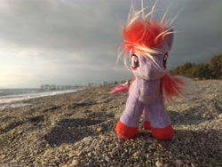 Size: 4128x3096 | Tagged: safe, artist:ferracraft, sugar moonlight, earth pony, pony, g5, beach, female, irl, mare, ocean, photo, plushie, ponies around the world, solo, standing, turkey (country), water