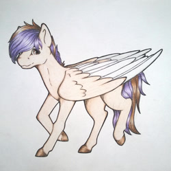 Size: 1024x1021 | Tagged: safe, artist:dexterisse, oc, oc only, oc:lahariel, pegasus, pony, pegasus oc, simple background, solo, traditional art, white background