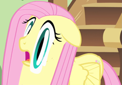 Size: 935x656 | Tagged: safe, screencap, fluttershy, pegasus, pony, a bird in the hoof, g4, season 1, close-up, cropped, faic, female, floppy ears, fluttershy's cottage, frown, funny, great moments in animation, hallway, mare, open mouth, picture frame, quality, smear frame, solo, stairs, wat, wide eyes