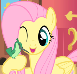 Size: 681x648 | Tagged: safe, screencap, fluttershy, hummingway, bird, hummingbird, pony, a bird in the hoof, g4, season 1, cropped, cute, female, fluttershy's cottage, hoof hold, mare, one eye closed, open mouth, shyabetes