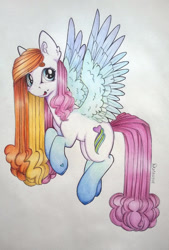 Size: 1024x1511 | Tagged: safe, artist:dexterisse, oc, oc:river riverie, pegasus, pony, female, mare, pegasus oc, simple background, solo, traditional art, white background