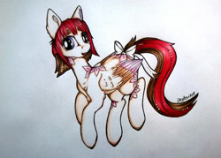 Size: 1024x732 | Tagged: safe, artist:dexterisse, oc, oc only, oc:katla, pegasus, pony, pegasus oc, simple background, solo, traditional art, white background