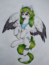 Size: 1024x1366 | Tagged: safe, artist:dexterisse, oc, oc:fatamorgana, pegasus, pony, female, mare, pegasus oc, simple background, solo, traditional art, white background