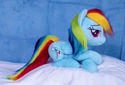 Size: 1200x812 | Tagged: safe, artist:buttercupbabyppg, rainbow dash, pegasus, pony, g4, female, folded wings, irl, lying down, mare, photo, plushie, prone, smiling, solo, wings