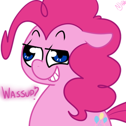 Size: 1024x1024 | Tagged: safe, artist:chandelurres, pinkie pie, earth pony, pony, g4, derp, dialogue, female, mare, solo