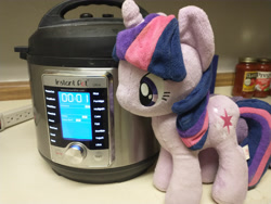 Size: 4608x3456 | Tagged: safe, derpibooru exclusive, twilight sparkle, pony, g4, 4de, instant pot, irl, photo, plushie, pressure cooker, this can only end well, tomato sauce