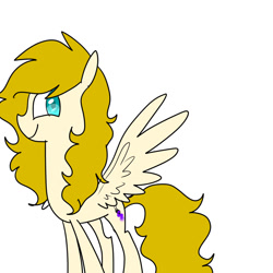 Size: 1024x1024 | Tagged: safe, artist:chandelurres, oc, pony, simple background, solo, spread wings, wings