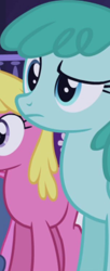 Size: 304x744 | Tagged: safe, screencap, cherry berry, spring melody, sprinkle medley, earth pony, pegasus, pony, friendship is magic, g4, my little pony: friendship is magic, background character, background pony, cropped, female, mare, solo focus