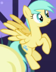 Size: 246x315 | Tagged: safe, screencap, sunshower raindrops, pegasus, pony, friendship is magic, g4, background character, background pony, cropped, female, flying, mare, solo focus, spread wings, wings