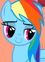 Size: 429x593 | Tagged: safe, screencap, rainbow dash, pegasus, pony, g4, season 1, sonic rainboom (episode), cropped, female, lidded eyes, mare, pretty, solo