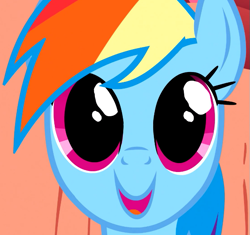 Size: 635x597 | Tagged: safe, screencap, rainbow dash, pegasus, pony, g4, season 1, sonic rainboom (episode), big eyes, close-up, cropped, cute, dashabetes, female, mare, open mouth, open smile, smiling, solo, wide eyes