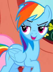 Size: 380x513 | Tagged: safe, screencap, fluttershy, rainbow dash, pegasus, pony, g4, season 1, sonic rainboom (episode), cropped, female, front view, lidded eyes, mare, offscreen character, open mouth, solo focus