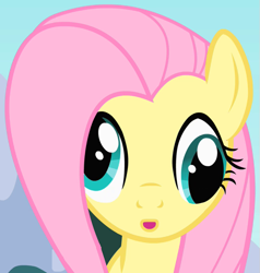 Size: 651x683 | Tagged: safe, screencap, fluttershy, pegasus, pony, g4, my little pony: friendship is magic, season 1, sonic rainboom (episode), :o, cropped, cross-eyed, derp, derpface, female, flutterderp, mare, open mouth, solo