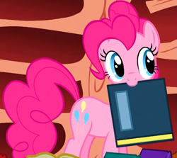 Size: 565x505 | Tagged: safe, screencap, pinkie pie, earth pony, pony, g4, my little pony: friendship is magic, season 1, sonic rainboom (episode), cropped, cute, diapinkes, female, golden oaks library, mare, mouth hold, solo