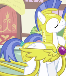 Size: 942x1080 | Tagged: safe, screencap, pegasus, pony, friendship is magic, g4, armor, background character, background pony, cropped, duo, folded wings, male, pegasus royal guard, royal guard, royal guard armor, solo focus, stallion, wings