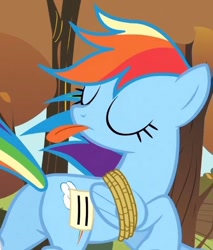 Size: 454x532 | Tagged: safe, screencap, rainbow dash, pegasus, pony, fall weather friends, g4, season 1, bound wings, butt, cropped, eyes closed, female, mare, plot, rainbow douche, rainbutt dash, solo, tongue out, wings
