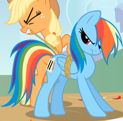 Size: 3528x3459 | Tagged: safe, screencap, applejack, rainbow dash, earth pony, pegasus, pony, fall weather friends, g4, season 1, bondage, cropped, eyes closed, female, frown, high res, mare, mouth hold, rope, unsexy bondage