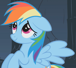 Size: 751x677 | Tagged: safe, screencap, rainbow dash, pegasus, pony, dragonshy, g4, season 1, cropped, cute, dashabetes, female, floppy ears, flying, lidded eyes, mare, smiling, solo, spread wings, sweet dreams fuel, wings