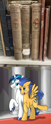 Size: 1064x2568 | Tagged: safe, artist:laptopgun, flash sentry, shining armor, pegasus, pony, unicorn, equestria girls, g4, my little pony equestria girls, book, bookshelf, funny, gay, implied gay, infidelity, irl, male, photo, shiningsentry, shipping, stallion