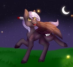 Size: 2048x1895 | Tagged: safe, artist:midnightmagic15, oc, oc only, firefly (insect), insect, pegasus, pony, chest fluff, crescent moon, eye clipping through hair, feather, feather in hair, moon, night, old art, open mouth, open smile, smiling, solo, spread wings, wings