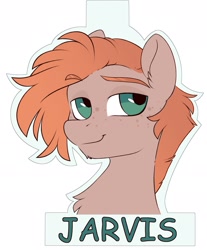 Size: 1555x1875 | Tagged: safe, artist:crimmharmony, oc, oc only, oc:jarvis yarbrough, pony, badge, bust, chest fluff, eyebrows, eyebrows visible through hair, freckles, lidded eyes, looking at you, solo