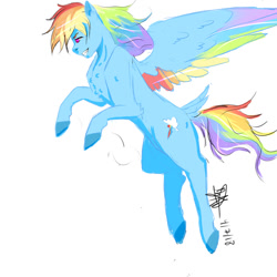 Size: 1024x1024 | Tagged: safe, artist:captainloafnugget, rainbow dash, pegasus, pony, g4, colored wings, flying, multicolored wings, pounce, simple background, solo, tail, tail feathers, wings