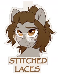 Size: 1500x1900 | Tagged: safe, artist:crimmharmony, oc, oc only, oc:stitched laces, badge, bust, freckles, glasses, smiling, solo