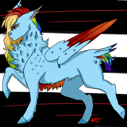 Size: 1000x1000 | Tagged: safe, artist:captainloafnugget, rainbow dash, pegasus, pony, g4, chest fluff, colored wings, fluffy, lines, long mane, multicolored wings, short tail, simple background, solo, tail, tail feathers, wings