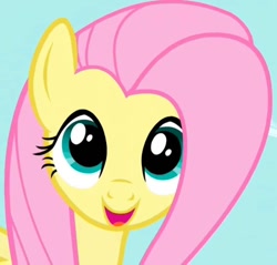 Size: 752x720 | Tagged: safe, screencap, fluttershy, pegasus, pony, g4, season 1, the ticket master, beautiful, cropped, cute, female, hnnng, mare, open mouth, open smile, shyabetes, smiling, solo