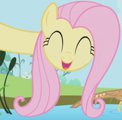 Size: 660x653 | Tagged: safe, screencap, fluttershy, bird, bittern, pegasus, pony, g4, season 1, the ticket master, :d, ^^, animal, cropped, cute, eyes closed, female, long neck, mare, open mouth, open smile, shyabetes, smiling, water