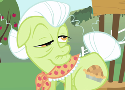 Size: 1362x978 | Tagged: safe, screencap, granny smith, earth pony, pony, friendship is magic, g4, chair, clothes, cropped, female, mare, scarf, solo