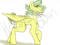 Size: 1280x960 | Tagged: safe, artist:sallybatbridge, oc, pegasus, pony, female, mare, pegasus oc, solo