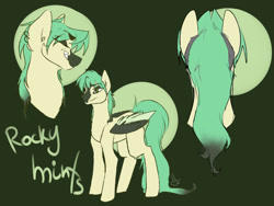 Size: 1280x960 | Tagged: safe, artist:sallybatbridge, oc, oc only, oc:rocky mints, pegasus, pony, pegasus oc