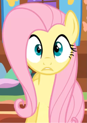 Size: 505x710 | Tagged: safe, screencap, fluttershy, pegasus, pony, g4, season 1, stare master, cropped, female, fluttershy's cottage, i've seen some shit, looking at you, mare, oh shi-!, solo, stare