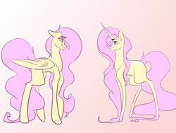 Size: 1280x960 | Tagged: safe, artist:sallybatbridge, fluttershy, oc, alicorn, pegasus, pony, g4, alicorn oc, horn, wings