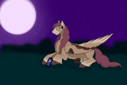 Size: 1280x854 | Tagged: safe, artist:sallybatbridge, oc, oc:phantom melody, pegasus, pony, night, solo