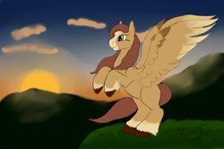 Size: 1280x854 | Tagged: safe, artist:sallybatbridge, oc, pegasus, pony, outdoors, pegasus oc, solo