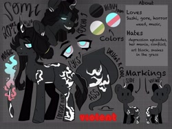 Size: 4000x3000 | Tagged: safe, artist:dejji_vuu, oc, oc only, oc:somi, pony, unicorn, reference sheet, solo