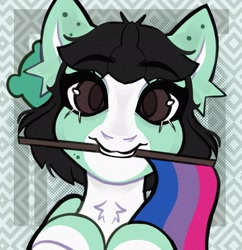 Size: 1982x2048 | Tagged: safe, artist:dejji_vuu, oc, oc only, earth pony, pony, bisexual pride flag, commission, mouth hold, pride, pride flag, solo, ych result