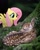 Size: 736x920 | Tagged: safe, artist:zetter-berg, edit, fluttershy, pegasus, pony, g4, female, irl, mare, photo, photoshop, ponies in real life, real life background, smiling, solo