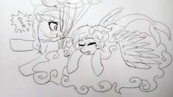 Size: 1920x1080 | Tagged: safe, artist:h0rsefeathers, oc, oc only, earth pony, pegasus, pony, duo, traditional art