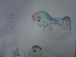 Size: 720x540 | Tagged: safe, artist:justaviewer94, rainbow dash, oc, parasprite, g4, spying