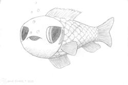 Size: 1920x1286 | Tagged: safe, artist:moon flower, oc, oc only, unnamed oc, fish, 2020, ambiguous gender, bubble, feral, fins, gills, grayscale, logo, monochrome, moon flower logo, open mouth, pencil drawing, scales, side view, signature, simple background, solo, solo ambiguous, three-quarter view, traditional art, white background