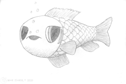 Size: 1920x1286 | Tagged: safe, artist:moon flower, oc, oc only, unnamed oc, fish, 2020, ambiguous gender, bubble, feral, fins, gills, grayscale, logo, monochrome, moon flower logo, open mouth, pencil drawing, scales, side view, signature, simple background, solo, three-quarter view, traditional art, white background