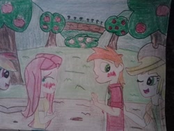 Size: 960x720 | Tagged: safe, artist:justaviewer94, applejack, big macintosh, fluttershy, rainbow dash, human, g4, apple, apple tree, blushing, embarrassed, female, humanized, male, ship:fluttermac, shipper on deck, shipping, straight, traditional art, tree