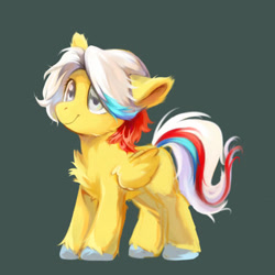 Size: 400x400 | Tagged: safe, artist:wolvierland, oc, pegasus, pony, chest fluff, green background, pegasus oc, simple background, solo
