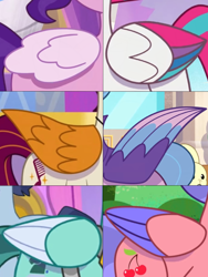 Size: 1500x2000 | Tagged: safe, edit, edited screencap, screencap, cherry flyaway, pipp petals, queen haven, rocky riff, thunder flap, zipp storm, pegasus, pony, rabbit, g5, mane melody, my little pony: tell your tale, sparky's sick, sunny's smoothie moves, the game is ahoof, the hunt for eggmund bunny, zipp gets her wings, spoiler:g5, spoiler:my little pony: tell your tale, spoiler:tyts01e46, spoiler:tyts01e47, spoiler:tyts01e48, animal, colored wings, comparison, female, folded wings, group, male, mane melody (location), mare, royal family, royal guard, royal sisters (g5), siblings, sisters, stallion, wing focus, wings